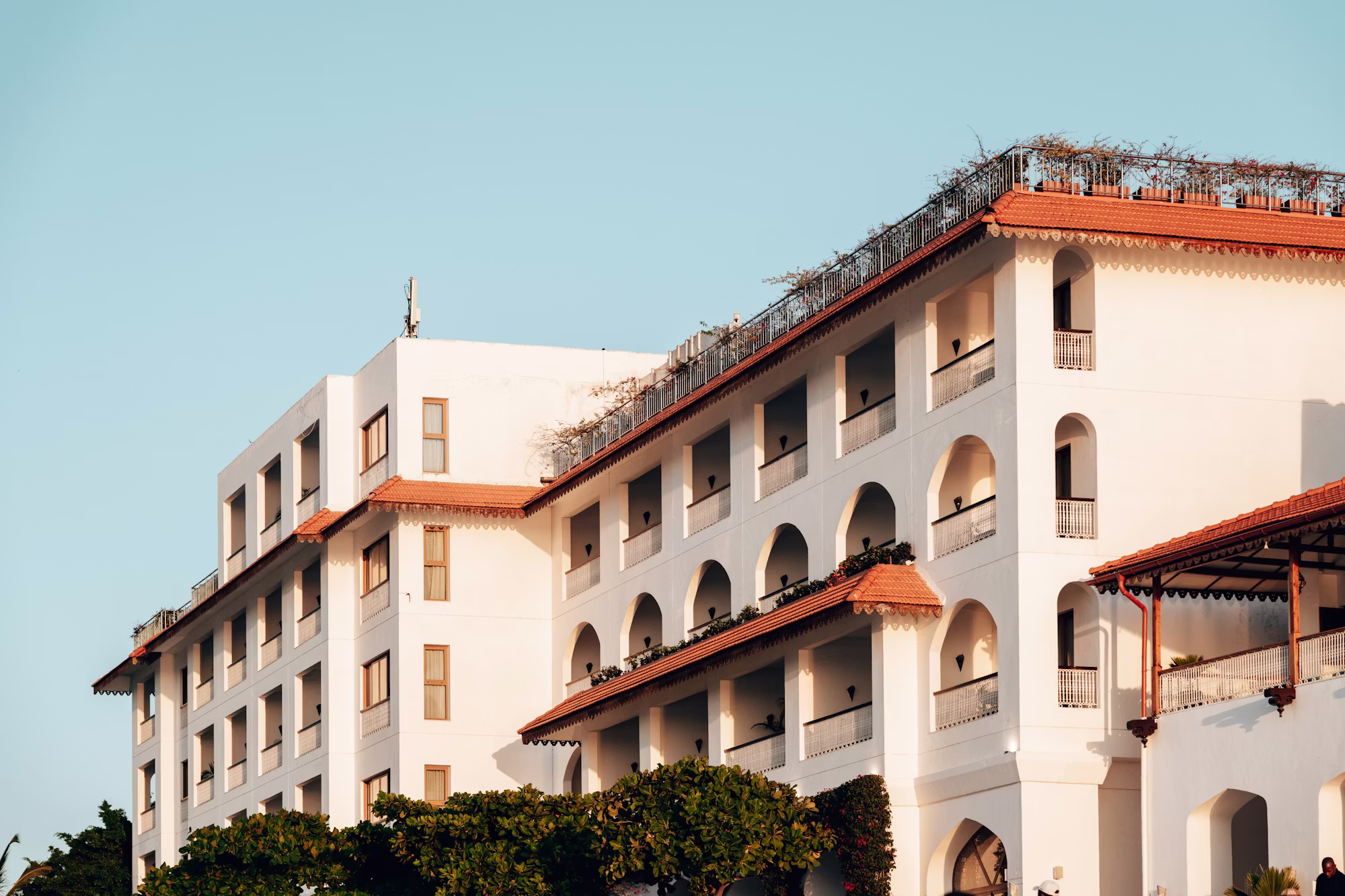 From Classic to Contemporary: A Deep Dive into Restaurant Styles and Dining Trends